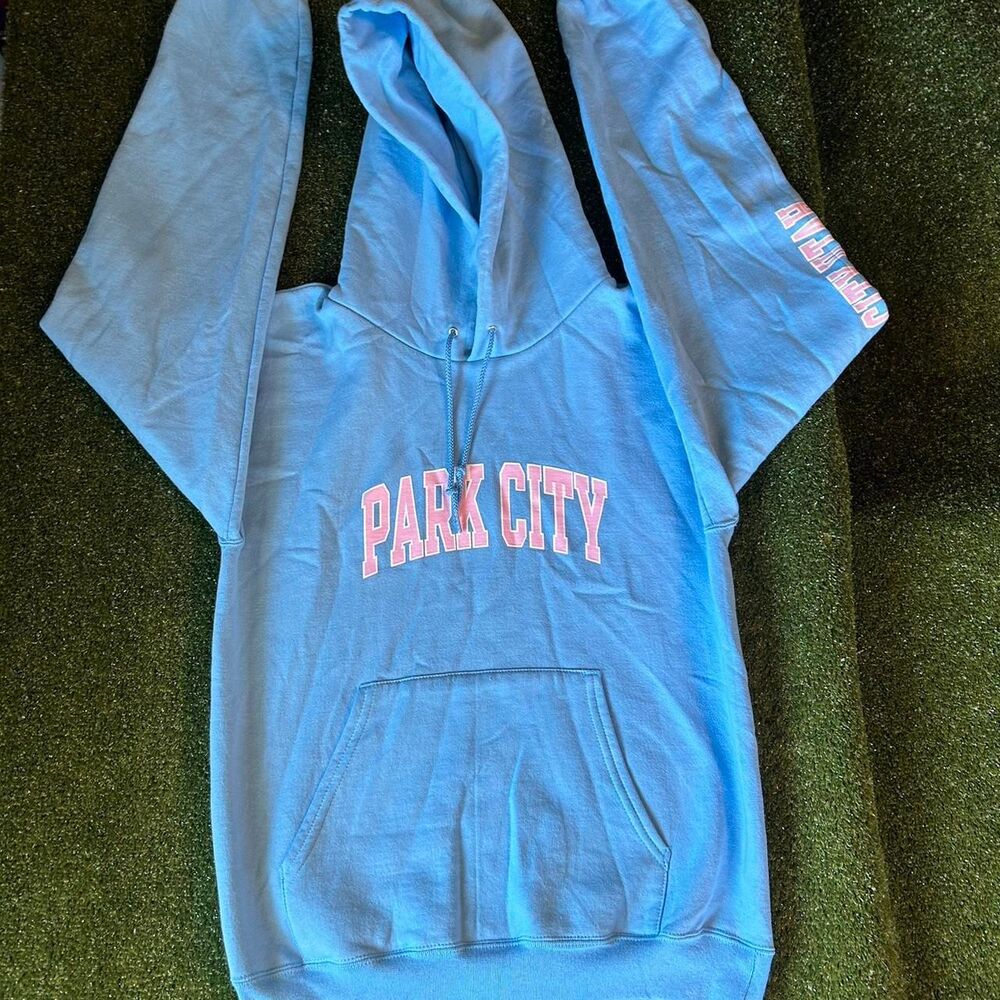 Champion Men's Blue Hoodie